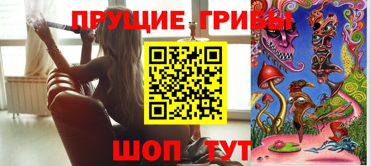 Галлюциногенные грибы мицелий  как найти закладки  Каменск-Шахтинский  Вход с VPN 