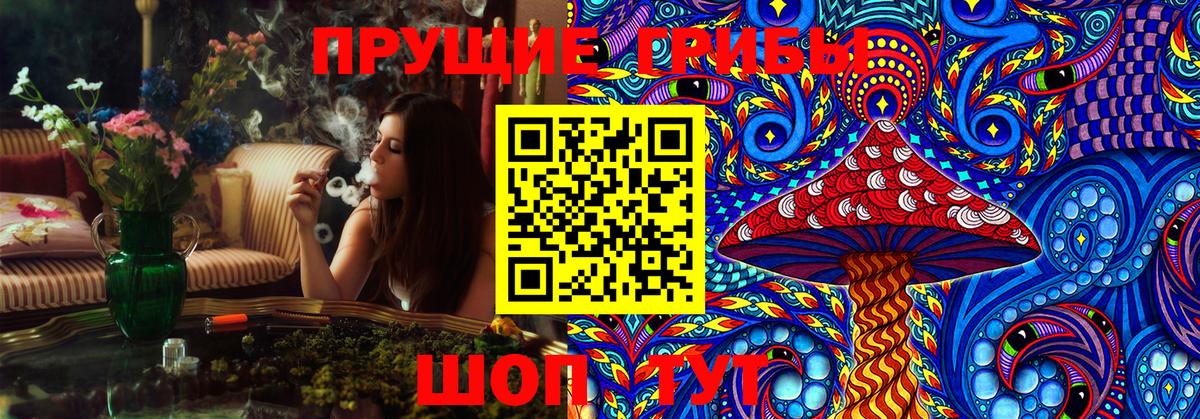 Псилоцибиновые грибы Psilocybe Каменск-Шахтинский
